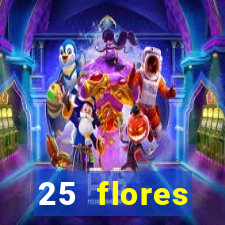 25 flores silvestres com nomes 25 flores silvestres desbravadores